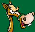 pferd_0239